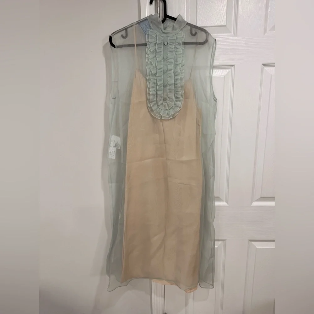 PRADA NWT  MASTER COLLECTOR Prada Silk Organza Dress - Gigi Hadid runway - Picture 3 of 8
